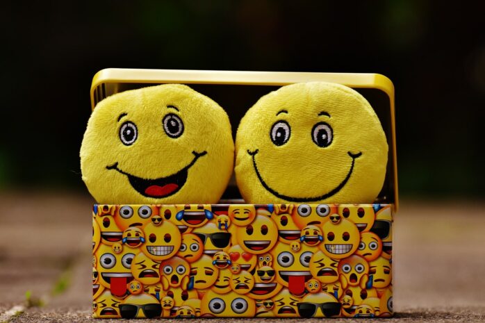Two smiley emojis in a box